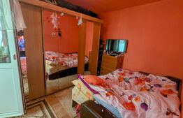 Apartament de vanzare, cu 2 camere, zona cetate, etaj intermediar