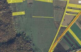 Teren extravilan 12 ha ideal ca investitie apa, curent Zona Aiud