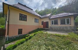 Casă P+E, panoramă montană, 4.400 mp teren, Ocoliş