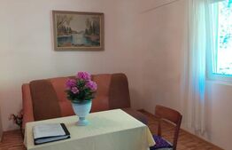 Casă la munte, 5 camere, 4800 mp teren, zona Ocolis