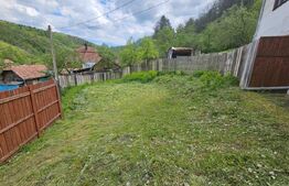 Casă P+E, panoramă montană, 4.400 mp teren, Ocoliş