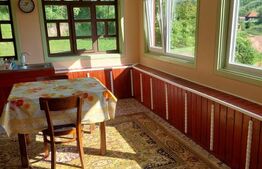 Casă P+E cu livadă și panoramă montană, 4.400 mp teren, Ocoliş