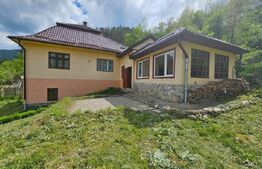 Casă P+E, panoramă montană, 4.400 mp teren, Ocoliş
