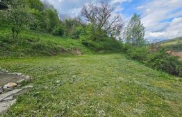 Casă P+E, panoramă montană, 4.400 mp teren, Ocoliş