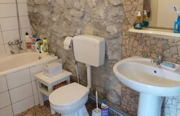 Casă la munte, 5 camere, 4800 mp teren, zona Ocolis