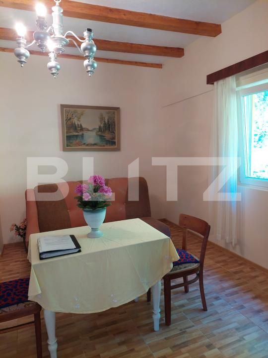 Casa de vânzare 5 camere Ocolis - 171700CV | BLITZ Alba Iulia | Poza2