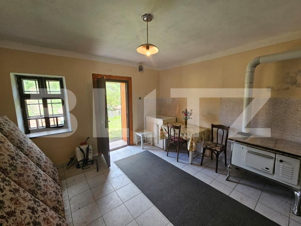 Casa de vânzare 5 camere Ocolis - 171700CV | BLITZ Alba Iulia | Poza12