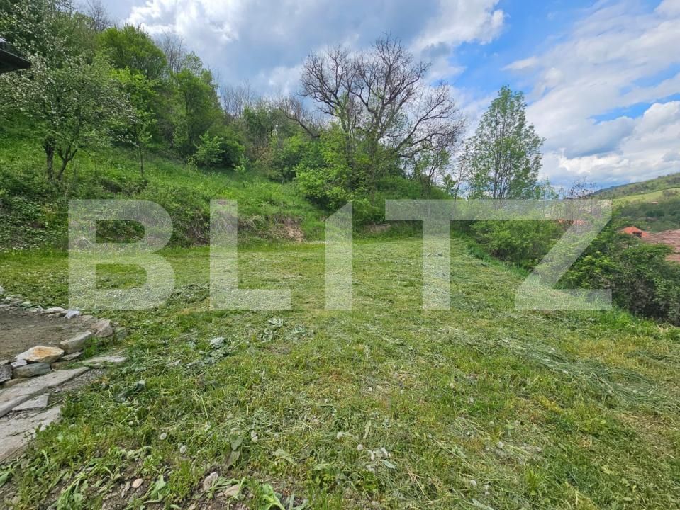 Casa de vânzare 5 camere Ocolis - 171700CV | BLITZ Alba Iulia | Poza14