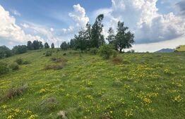 Teren extravilan 2241 mp ideal pentru cabana in Ramet Transapuseana 