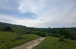 Teren extravilan 2241 mp ideal pentru cabana in Ramet Transapuseana 