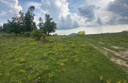 Teren extravilan 2241 mp ideal pentru cabana in Ramet Transapuseana 