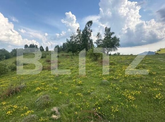 Teren de vânzare Exterior Nord - 171854TV | BLITZ Alba Iulia | Poza1