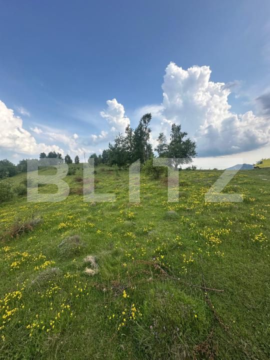 Teren de vânzare Exterior Nord - 171854TV | BLITZ Alba Iulia | Poza1