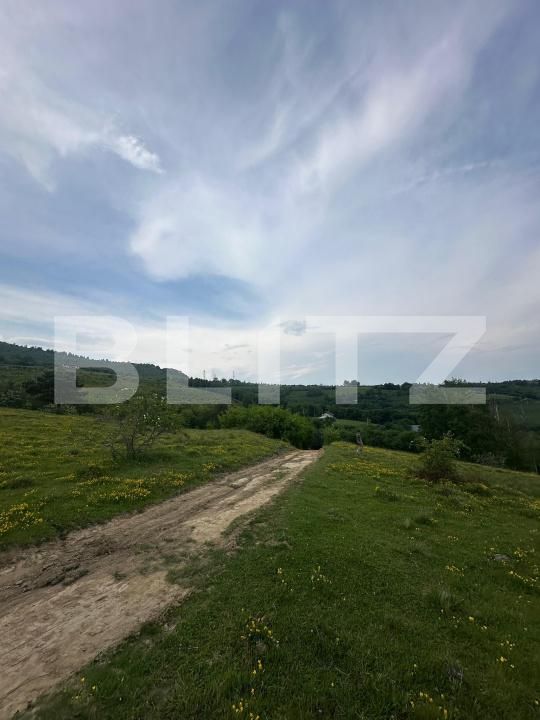 Teren de vânzare Exterior Nord - 171854TV | BLITZ Alba Iulia | Poza3