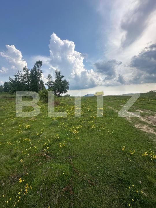 Teren de vânzare Exterior Nord - 171854TV | BLITZ Alba Iulia | Poza2