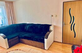 Apartament de vanzare, cu 2 camere, mobilat si utilat, zona Cetate-Goldis