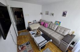 Apartament cu 2 camere, decomandat, zona Cetate