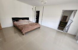 Casa individuala cu 2 camere,80 mp utili,267 mp teren,Totoi