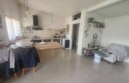 Casa individuala cu 2 camere,80 mp utili,267 mp teren,Totoi