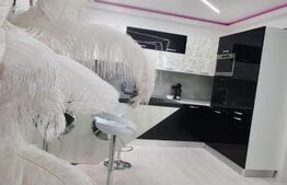 Apartament ultramodern, etaj1, zona cetate