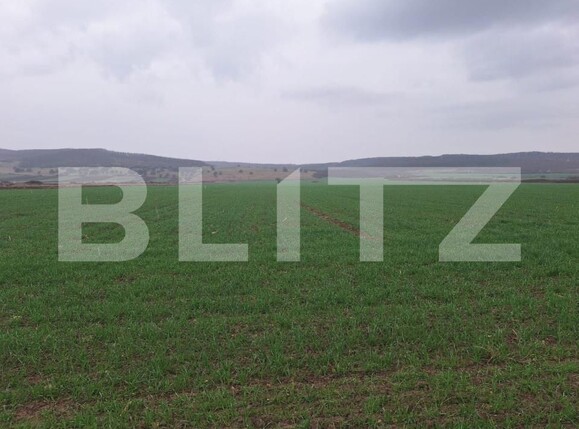 Teren de vânzare Cugir - 172746TV | BLITZ Alba Iulia | Poza1