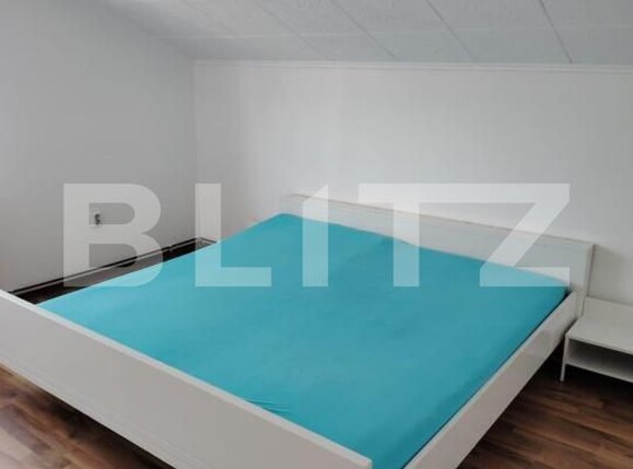 Casa de închiriat 4 camere Paclisa - 172767CI | BLITZ Alba Iulia | Poza3