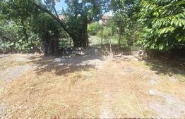 Casa 100 mp utili 3 camere bucatarie baie apa gaz canal in Ciumbrud