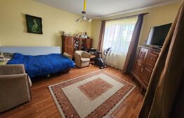 Casa individuala cu 3 camere, 371 mp,zona Centru