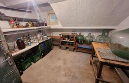 Casa individuala cu 3 camere, 371 mp,zona Centru