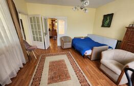 Casa individuala cu 3 camere, 371 mp,zona Centru