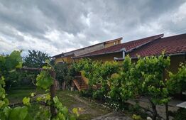 Casa individuala cu 3 camere, 371 mp,zona Centru