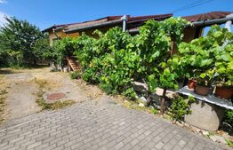 Casa individuala cu 3 camere, 371 mp,zona Centru