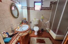 Casa individuala cu 3 camere, 371 mp,zona Centru