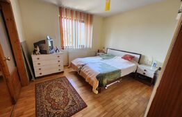 Casa individuala cu 3 camere, 371 mp,zona Centru