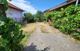 Casa individuala cu 3 camere, 371 mp,zona Centru