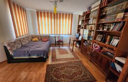 Casa individuala cu 3 camere, 371 mp,zona Centru