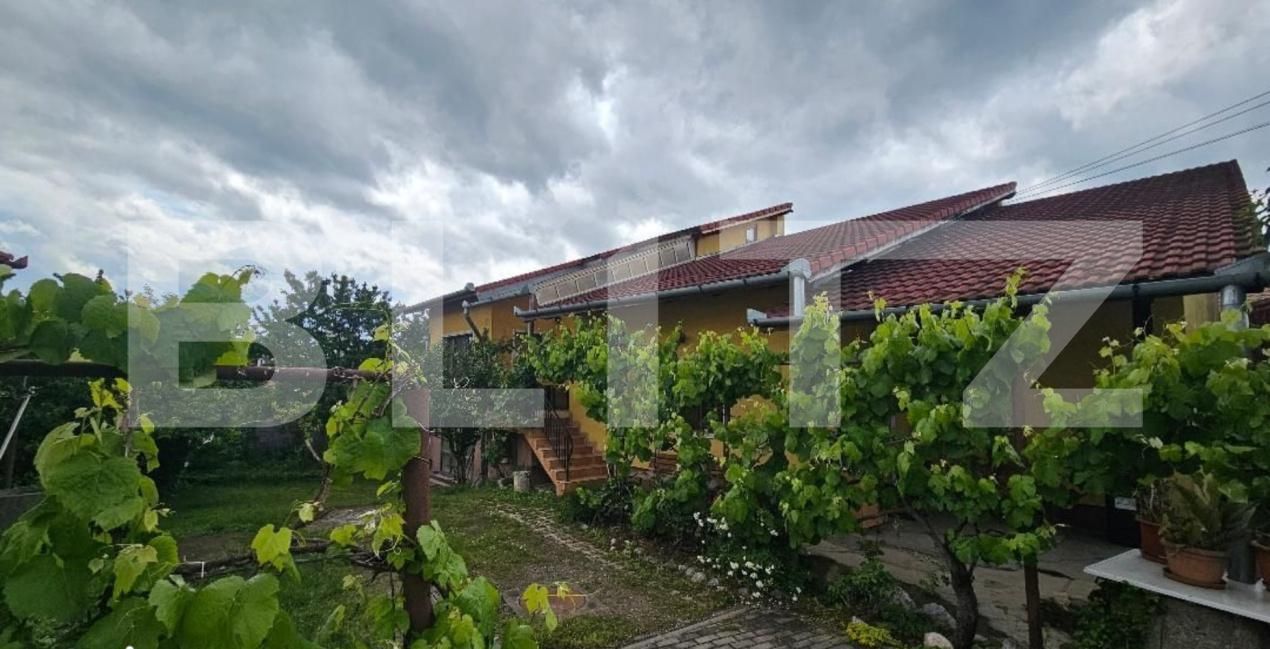 Casa de vânzare 3 camere Central - 172948CV | BLITZ Alba Iulia | Poza6