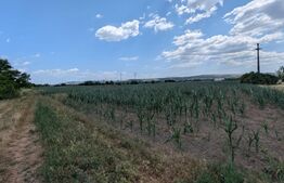 Teren de vanzare, soseaua de centura