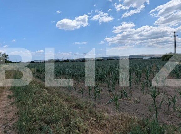 Teren de vânzare Sud - 173061TV | BLITZ Alba Iulia | Poza1