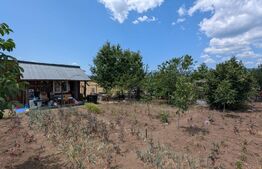 Casa de vacanta in Oarda.