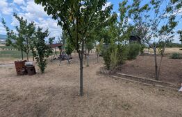 Casa de vacanta in Oarda.