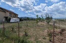 Teren de vanzare, Ampoi 2