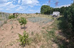 Teren de vanzare, Ampoi 2