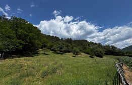 Casă cu 6000 mp teren, Poiana Ampoiului - Metes