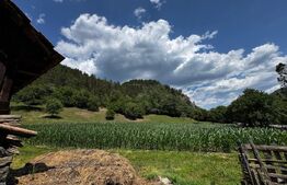 Casă cu 6000 mp teren, Poiana Ampoiului - Metes