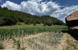 Casă cu 6000 mp teren, Poiana Ampoiului - Metes