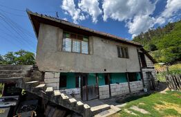 Casă cu 6000 mp teren, Poiana Ampoiului - Metes