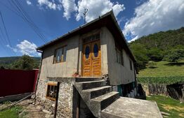 Casa de vânzare 3 camere Intregalde - 167914CV | BLITZ Alba Iulia | Poza4