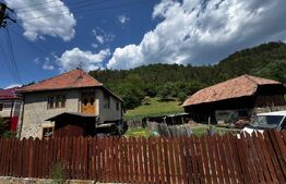 Casă cu 8489 mp teren, Poiana Ampoiului - Metes