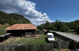 Casă cu 6000 mp teren, Poiana Ampoiului - Metes